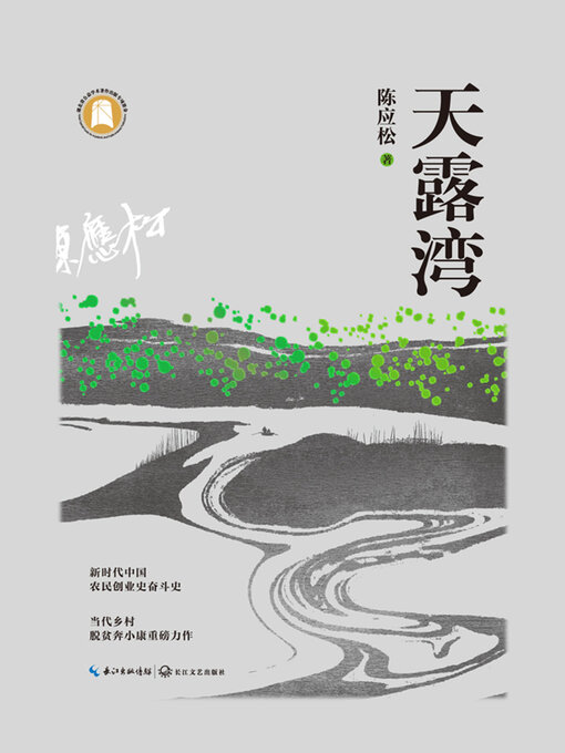 Cover image for 天露湾